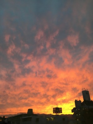 9DC37139-984C-4A63-89CF-5ACEE1177083