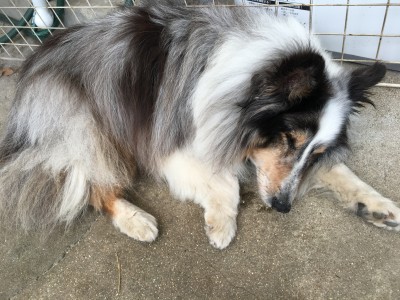 E9988772-4499-4FC4-B455-202729AAC791