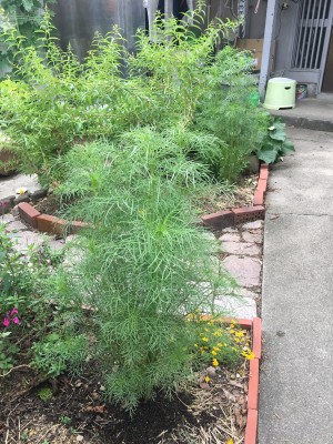 D4CE3487-F445-462C-87A4-1C6CB1F8AD4B