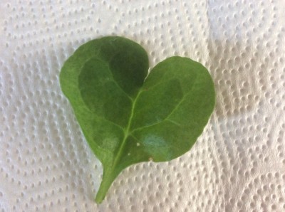 1977302B-E820-4C5F-A778-A87911312E11