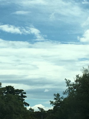 7CDB2243-EA2D-4E2F-8E18-C70B2177BC84