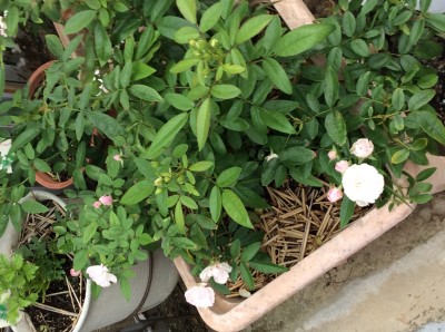 9EDD8A2C-DE1D-42B1-A566-1C6C57CFBD3B