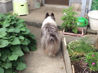 9EF96673-5675-4395-B1EA-53C67AD0BEDD