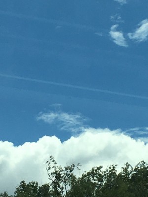 A5D69491-6850-45B6-885C-DB69EE0C49FE