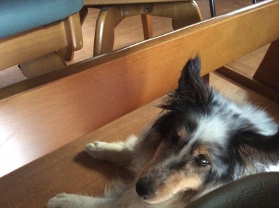 C359F915-D872-4454-B247-CB7D3D8B5D9F