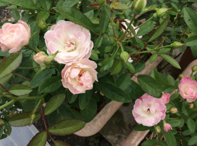 DF2D7D2F-4746-47DC-A135-018922DC2B9E