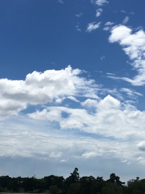 FC94E5D3-6D2F-45A8-93A7-58A14C3C8D78