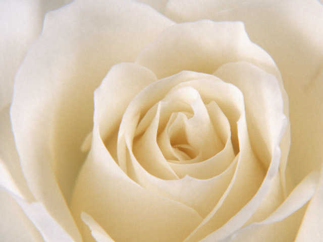 スタジオリトル